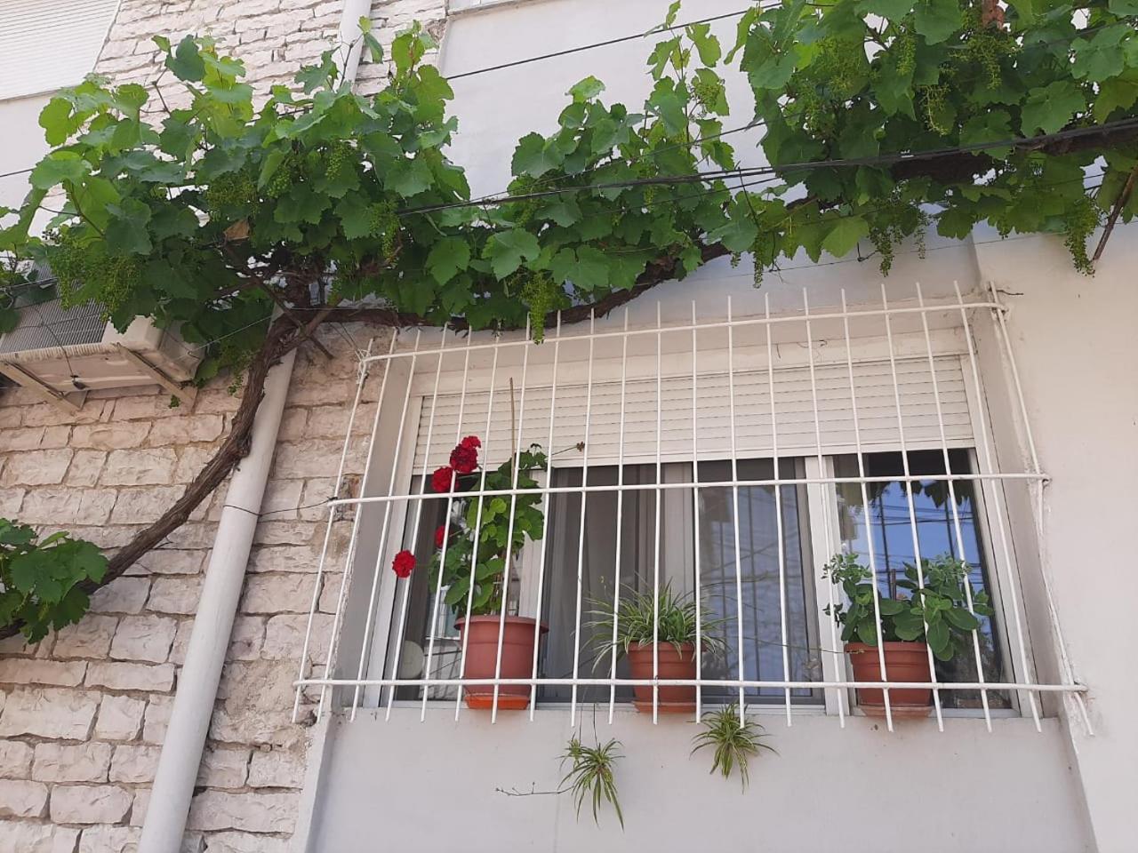 Sofia'S Modern Apartment Gjirokastër المظهر الخارجي الصورة