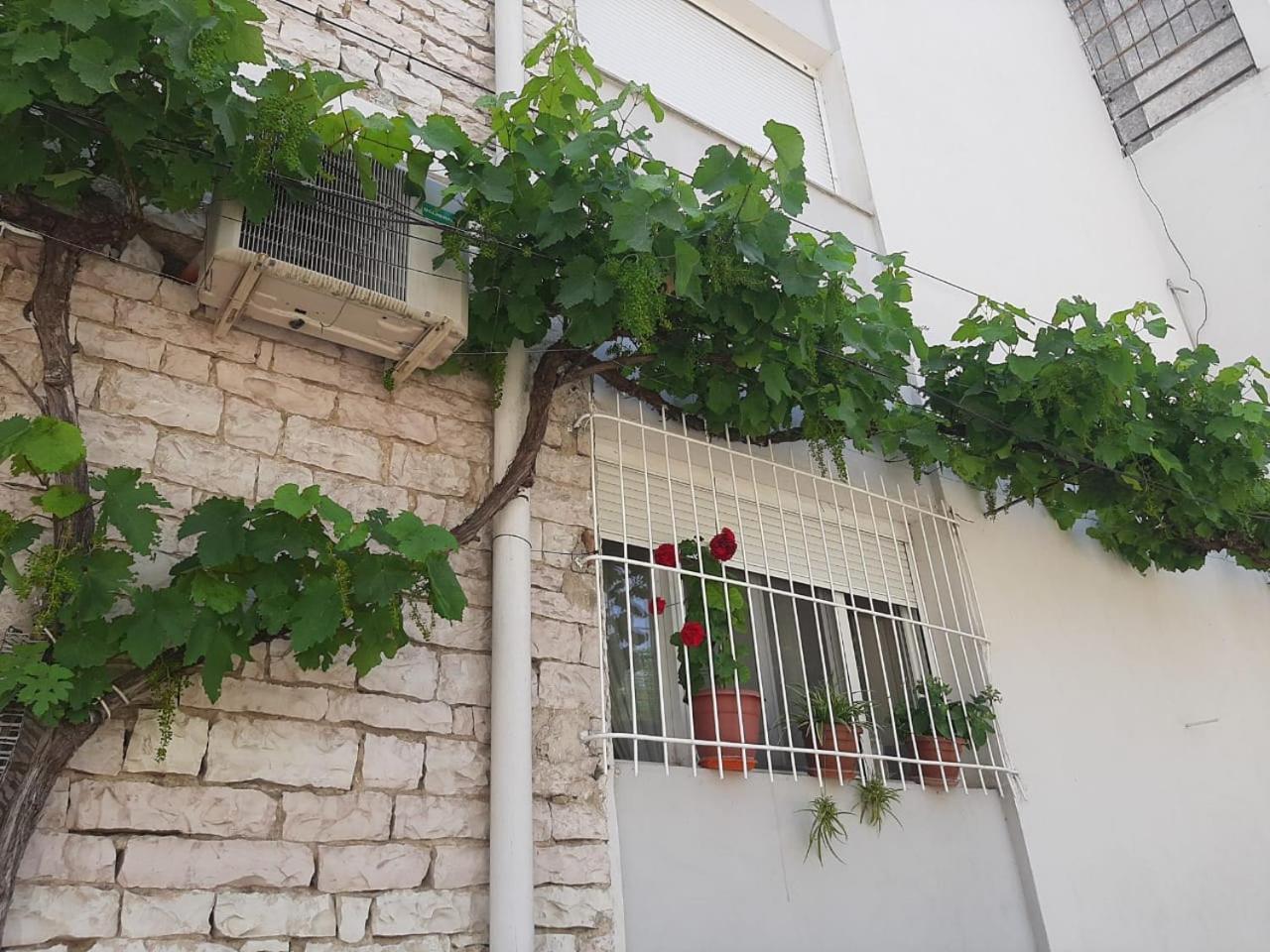 Sofia'S Modern Apartment Gjirokastër المظهر الخارجي الصورة